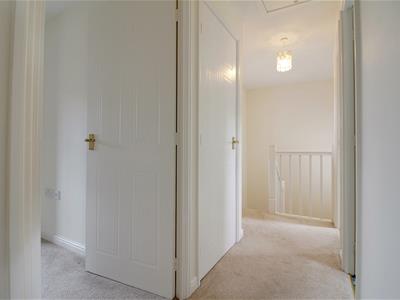Picture 17